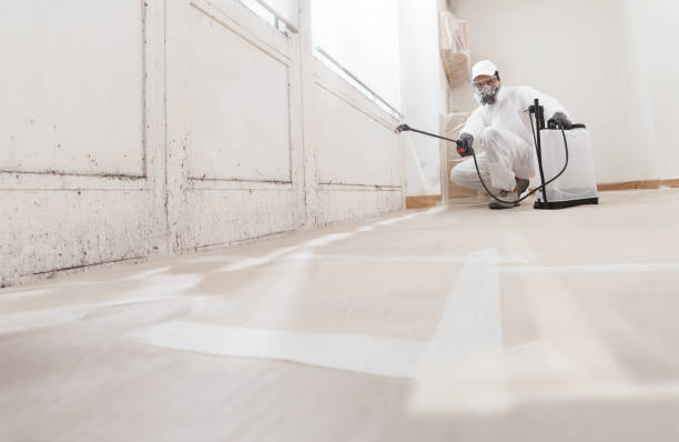 24/7 Emergency Mold Testing experts in Trenton, MI