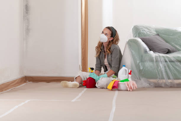Reliable Mold Testing contractor in Trenton, MI by WQB Mold Removal